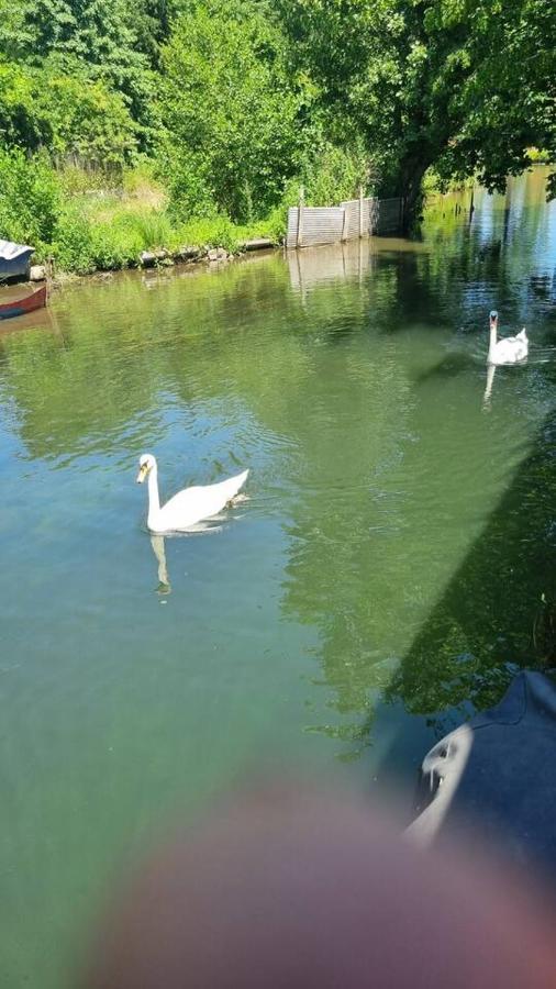 Au Fils De L'Eau Hotell Strasbourg Exteriör bild