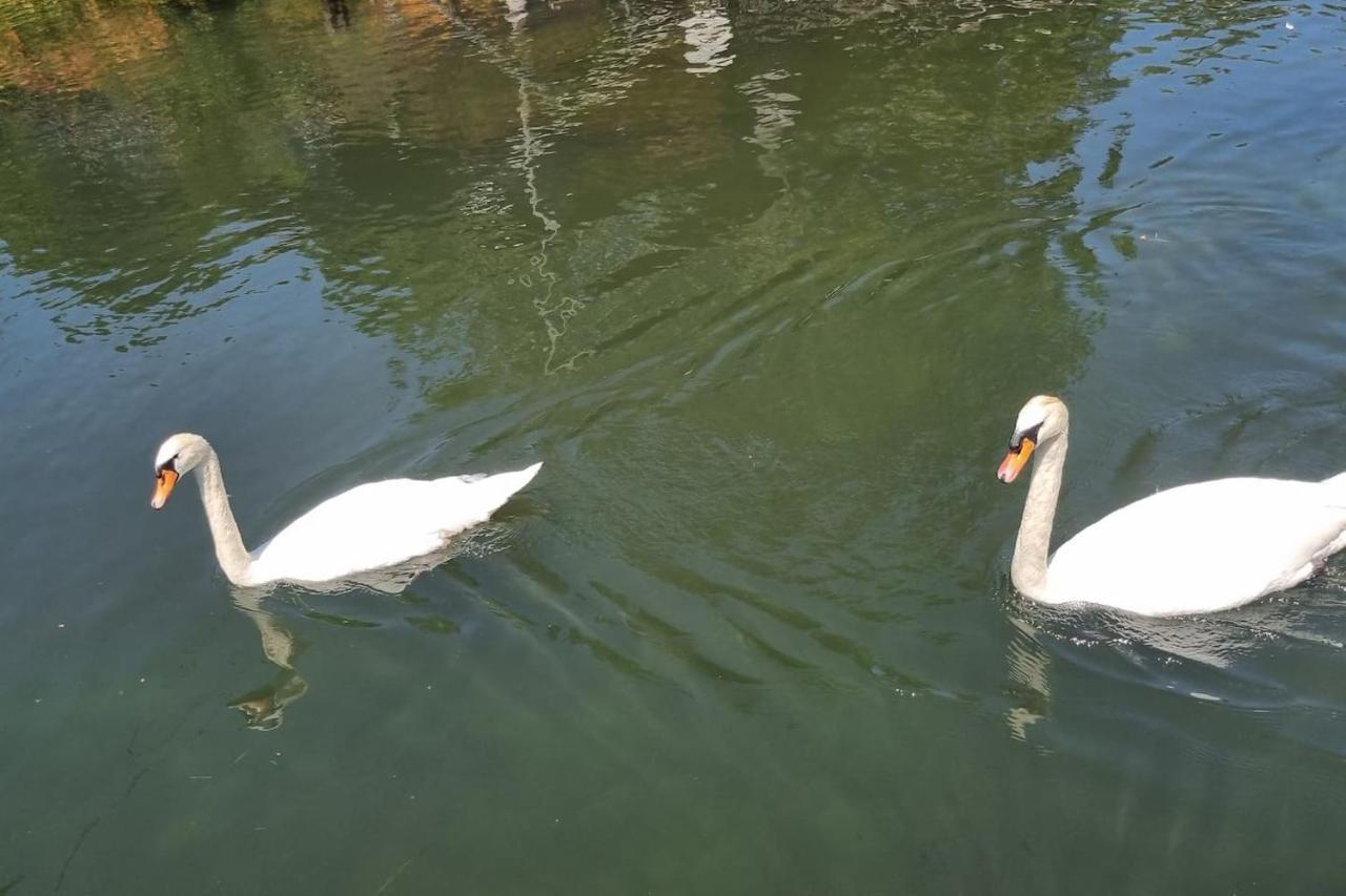 Au Fils De L'Eau Hotell Strasbourg Exteriör bild